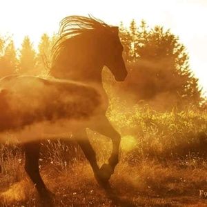 Meet your Posher, Karolina